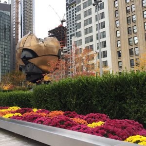 TransBrasNY Transfer e Passeios New York (26)