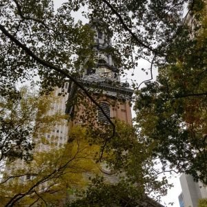 TransBrasNY Transfer e Passeios New York (32)