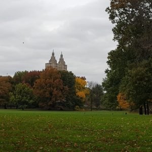 TransBrasNY Transfer e Passeios New York (33)